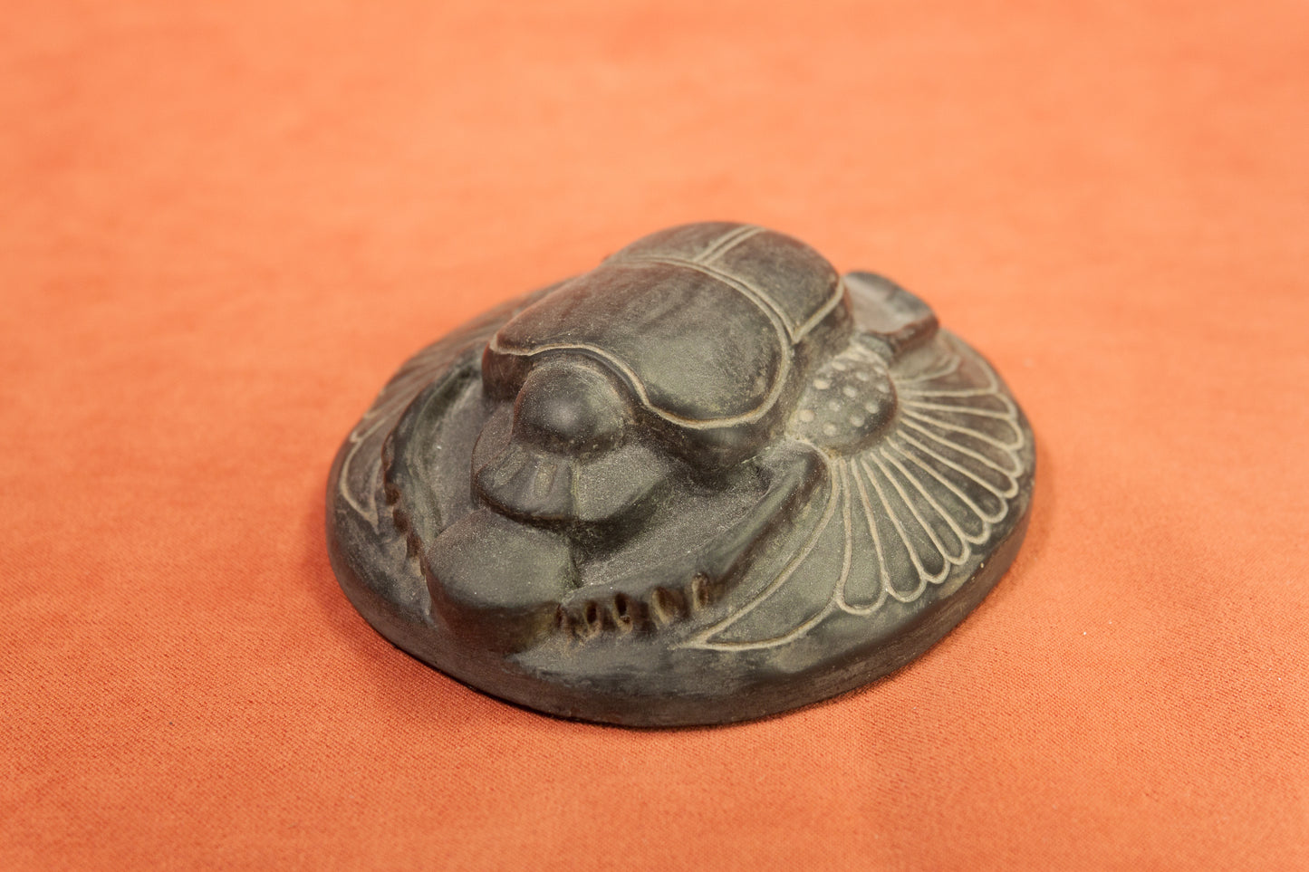 Escarabajo Alado