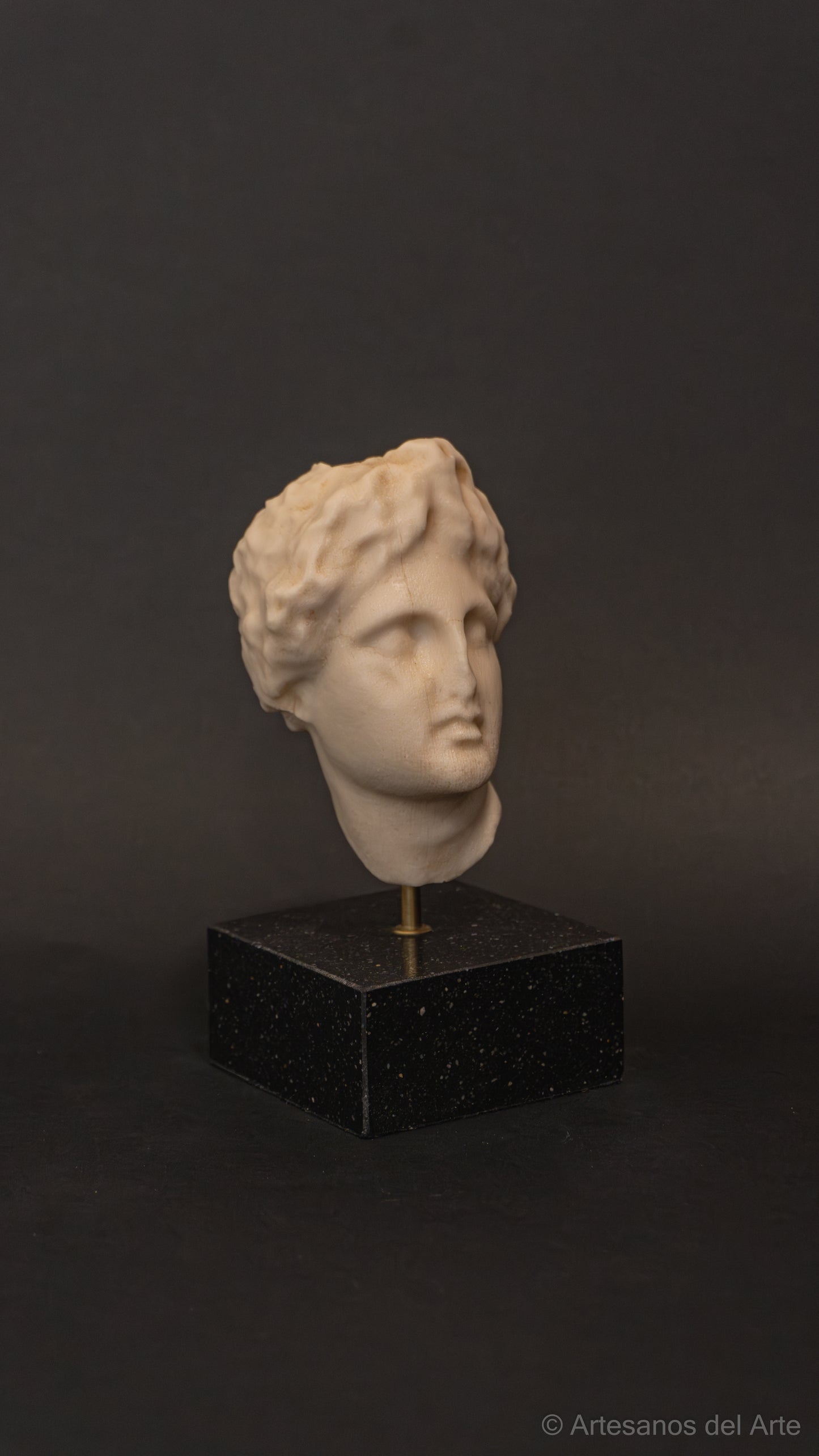 Cabeza de Apolo, detalle del rostro y la cabellera ondulada
