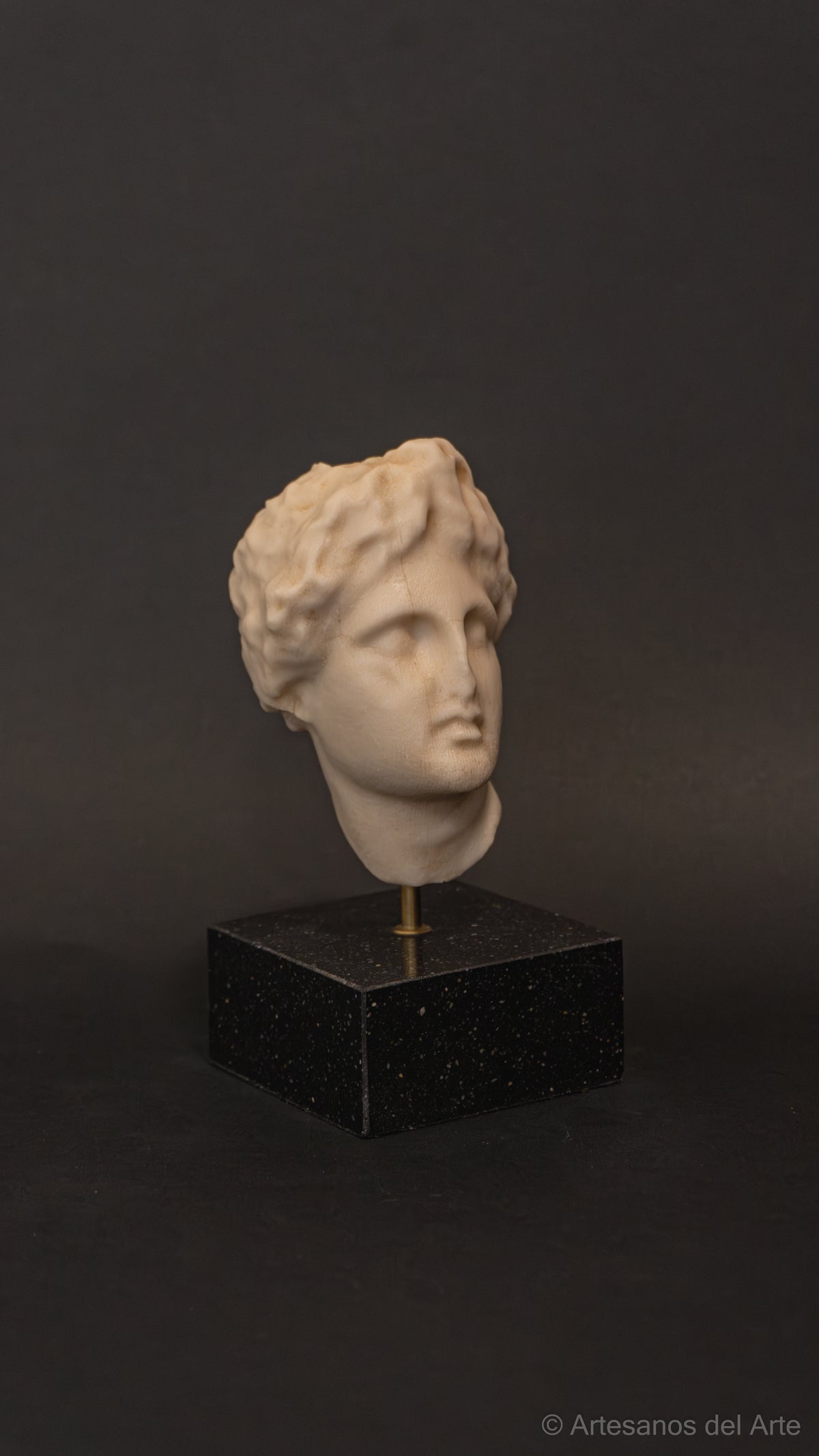 Cabeza de Apolo, detalle del rostro y la cabellera ondulada